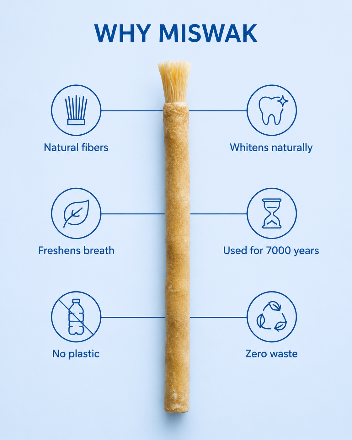Ancient Miswak Toothbrush 1pc — Pure Living