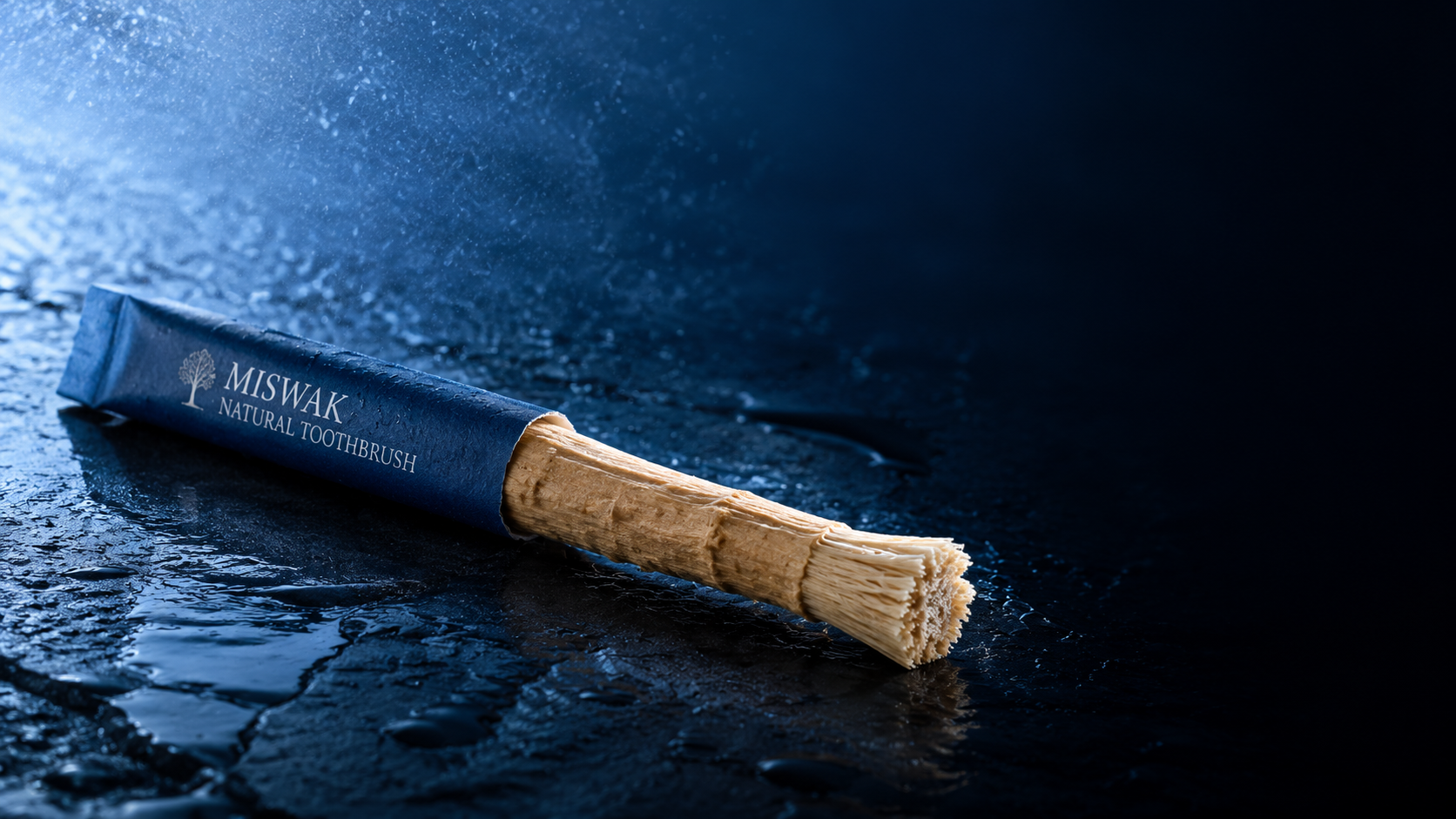 Ancient Miswak Toothbrush 1pc - wide banner shot on wet dark surface