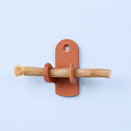 Miswak holder for mold prevention — Pure Living