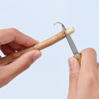 Cutting a fresh section of miswak stick