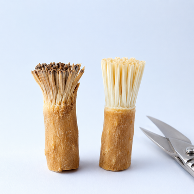 Recutting the miswak stick to refresh the bristle tip